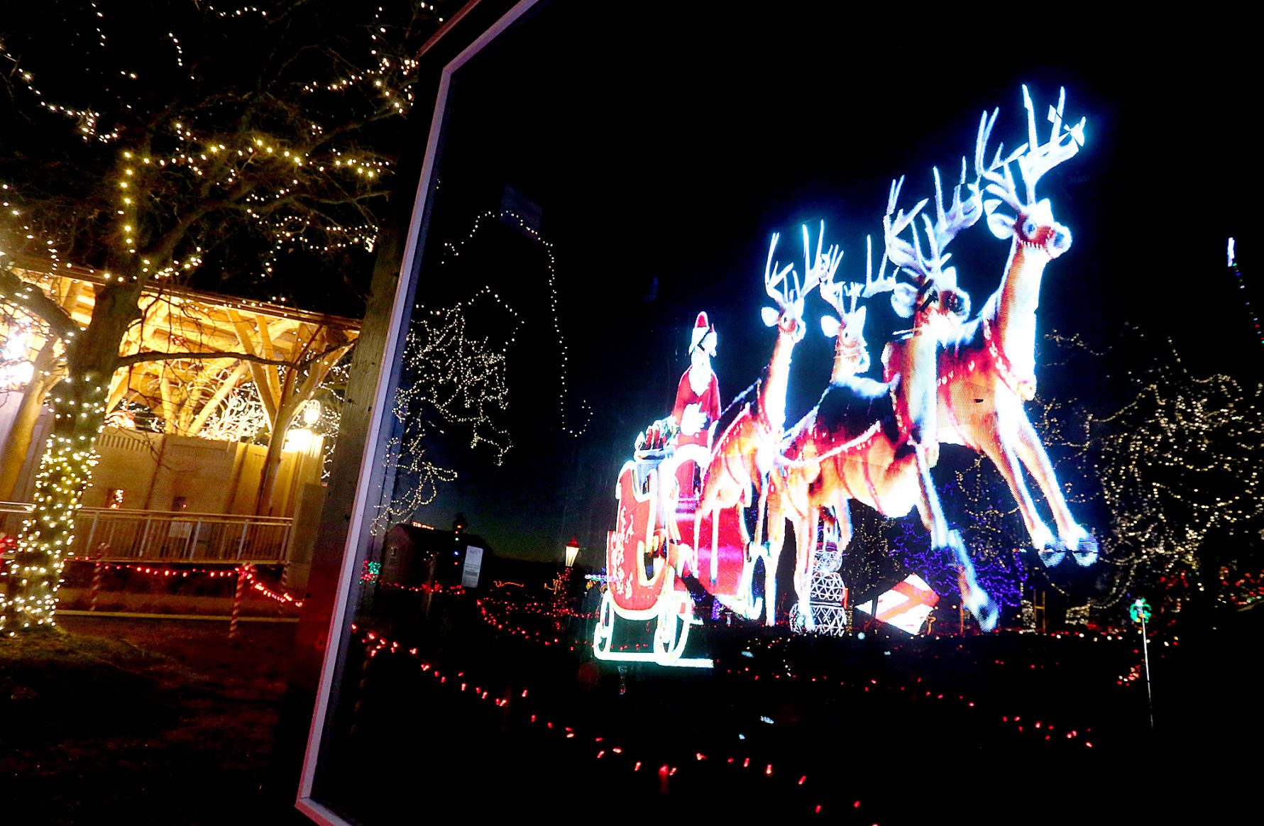 Rotary Lights 2020
